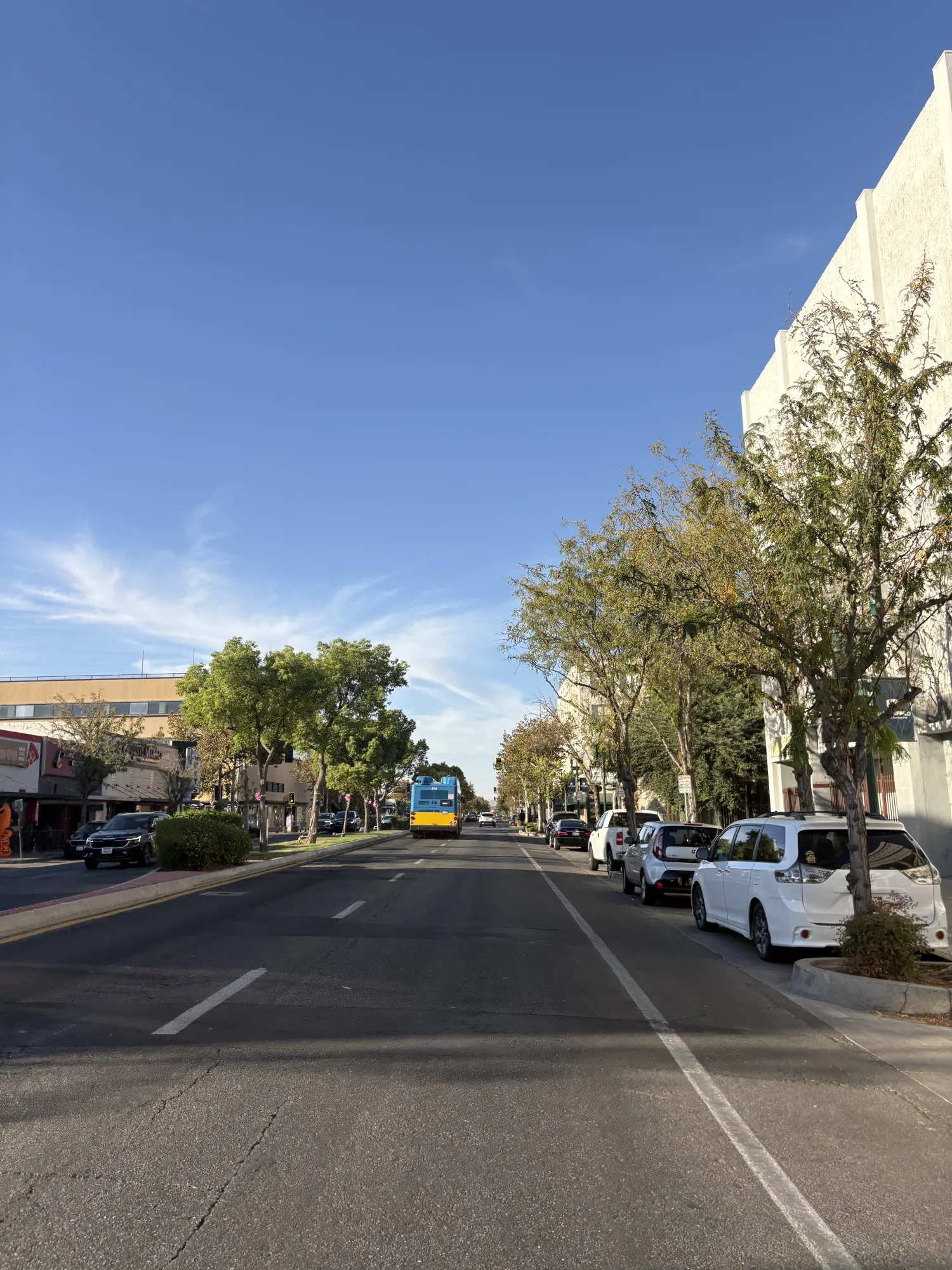 Tree-lined commercial street in downtown Bakersfield