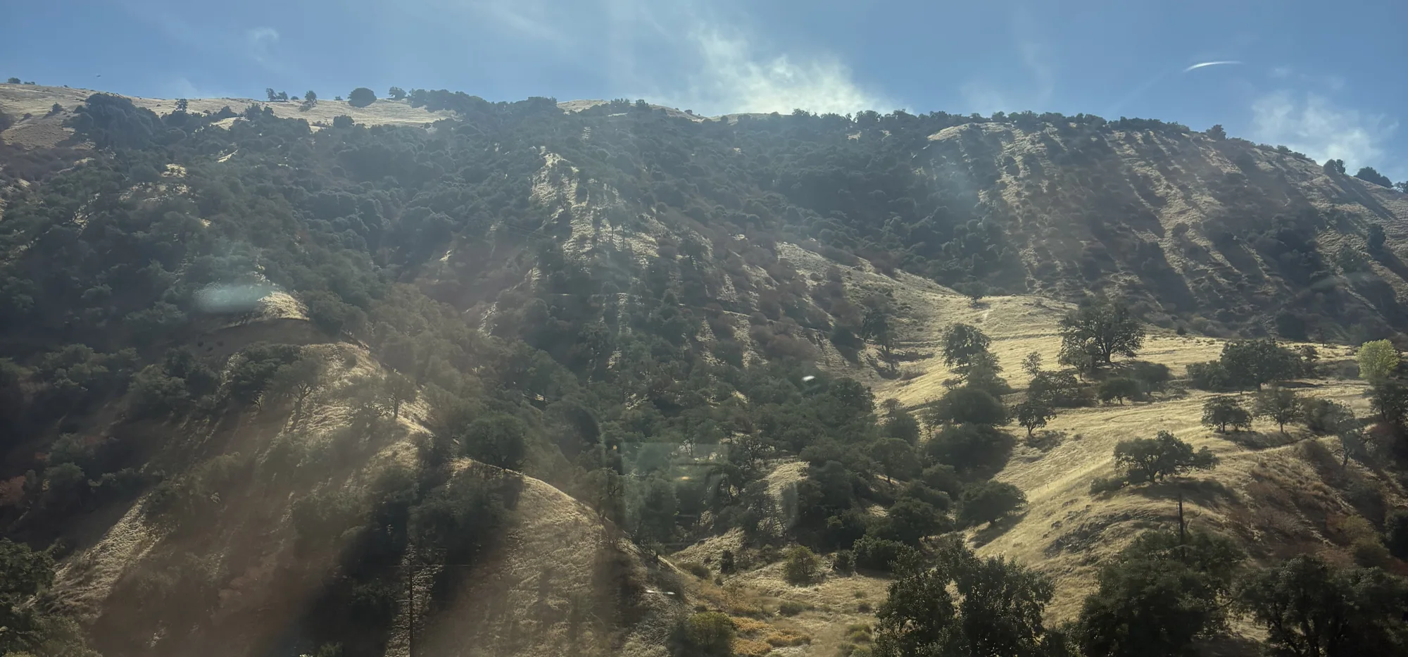 Grapevine hills near Fort Tejon in the Lebec area, Kern County